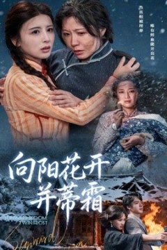 向阳花开并蒂霜