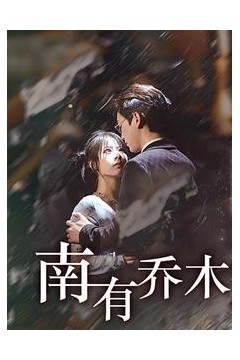 南有乔木短剧