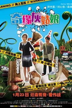 奇缘灰姑娘国语