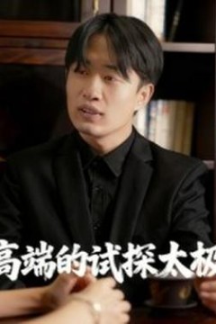高端的试探太极