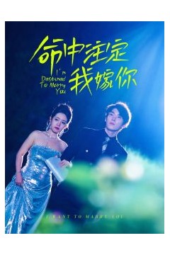 命中注定我嫁你