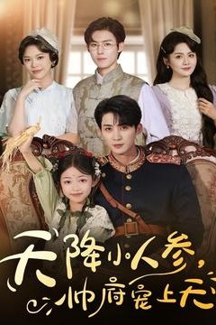 天降小人参，帅府宠上天