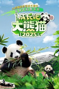 成长吧！大熊猫2025