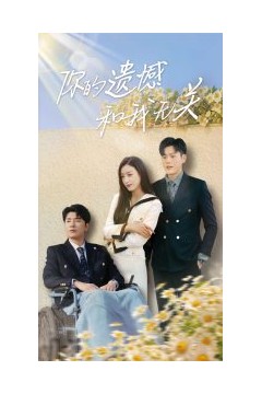 你的遗憾和我无关