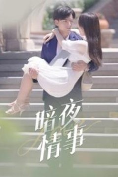 暗夜情事