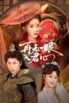 再无一眼入君心