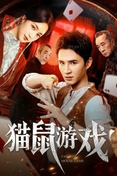 猫鼠游戏