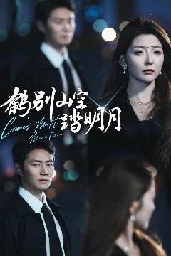 鹤别山空踏明月