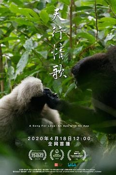 天行情歌中配版