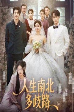 人生南北多歧路
