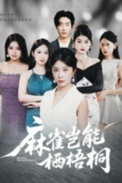 麻雀岂能栖梧桐