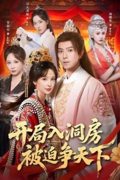 开局入洞房，被迫争天下