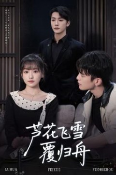 芦花飞雪覆归舟