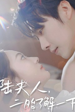 陆夫人，二胎了解一下