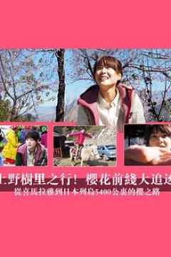 上野树里之行！樱花前线大追迹～从喜马拉雅到日本列岛5400公里的樱之路~