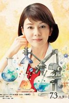 科搜研之女第24季