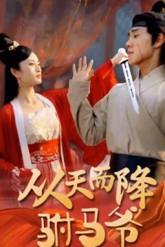 从天而降驸马爷