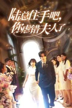 陆总住手吧，你虐错夫人了