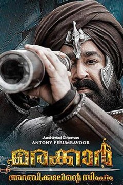 马拉喀尔：阿拉伯海狮