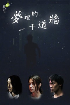 梦里的一千道墙