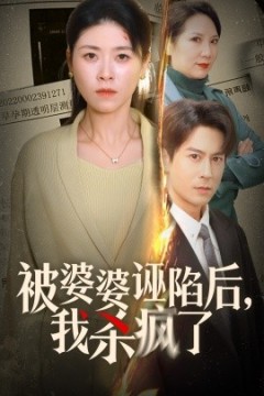 被婆婆诬陷后我杀疯了