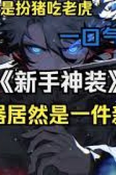 新手神装