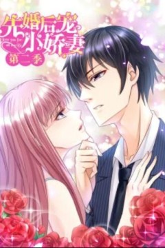 先婚后宠小娇妻第二季