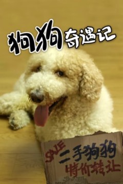 狗狗奇遇记