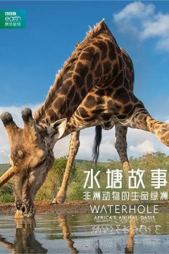 水塘故事：非洲动物的生命绿洲