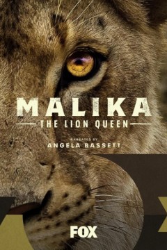 狮子王后玛莉卡