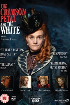 绛红雪白的花瓣