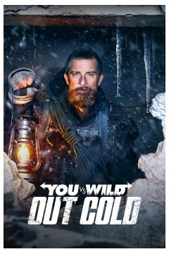 你的荒野求生：失忆的贝尔