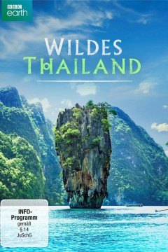 泰国：地球上的赤道天堂