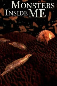 体内的怪物第一季