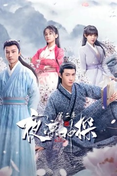 夜凛神探第二季