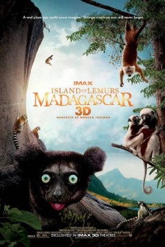 马达加斯加：狐猴之岛