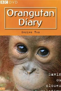 BBC.猩猩日记 第二季