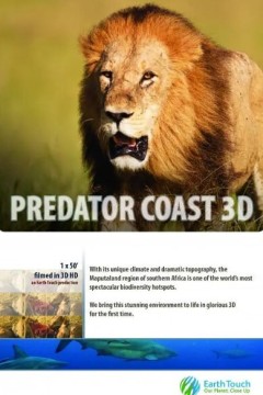 海岸线的掠食者