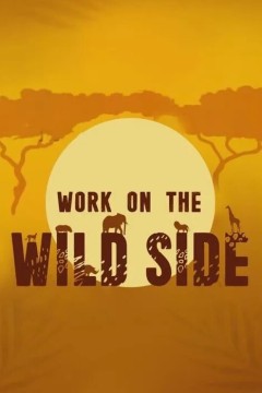 野生大营救第一季