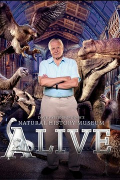 爱丁保罗夫爷爷的博物馆奇妙夜