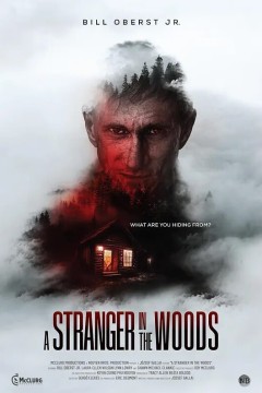 树林里的陌生人2024