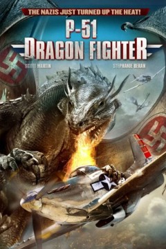 P-51大战纳粹飞龙