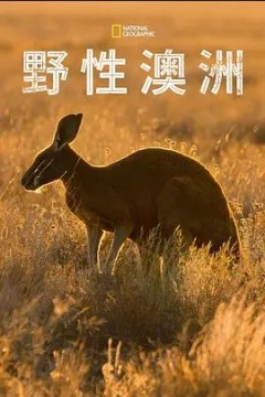 野性澳大利亚