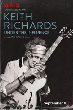 基思·理查兹：影响