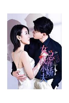 女总裁的小娇夫