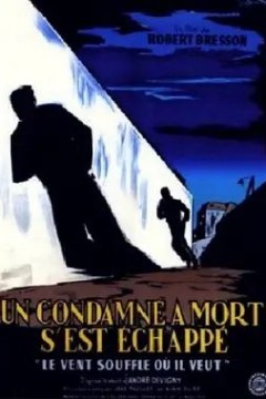 关于布列松电影的纪录片：形式的本质