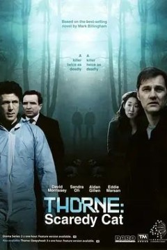 警长索恩：胆小鬼