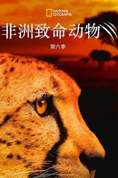 非洲致命动物第六季