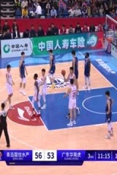 CBA常规赛第6轮 青岛国信水产VS广东华南虎 20231105(陈广锐、苏坤雄)