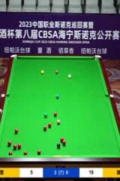 斯诺克徐思4-2姚东成20230517